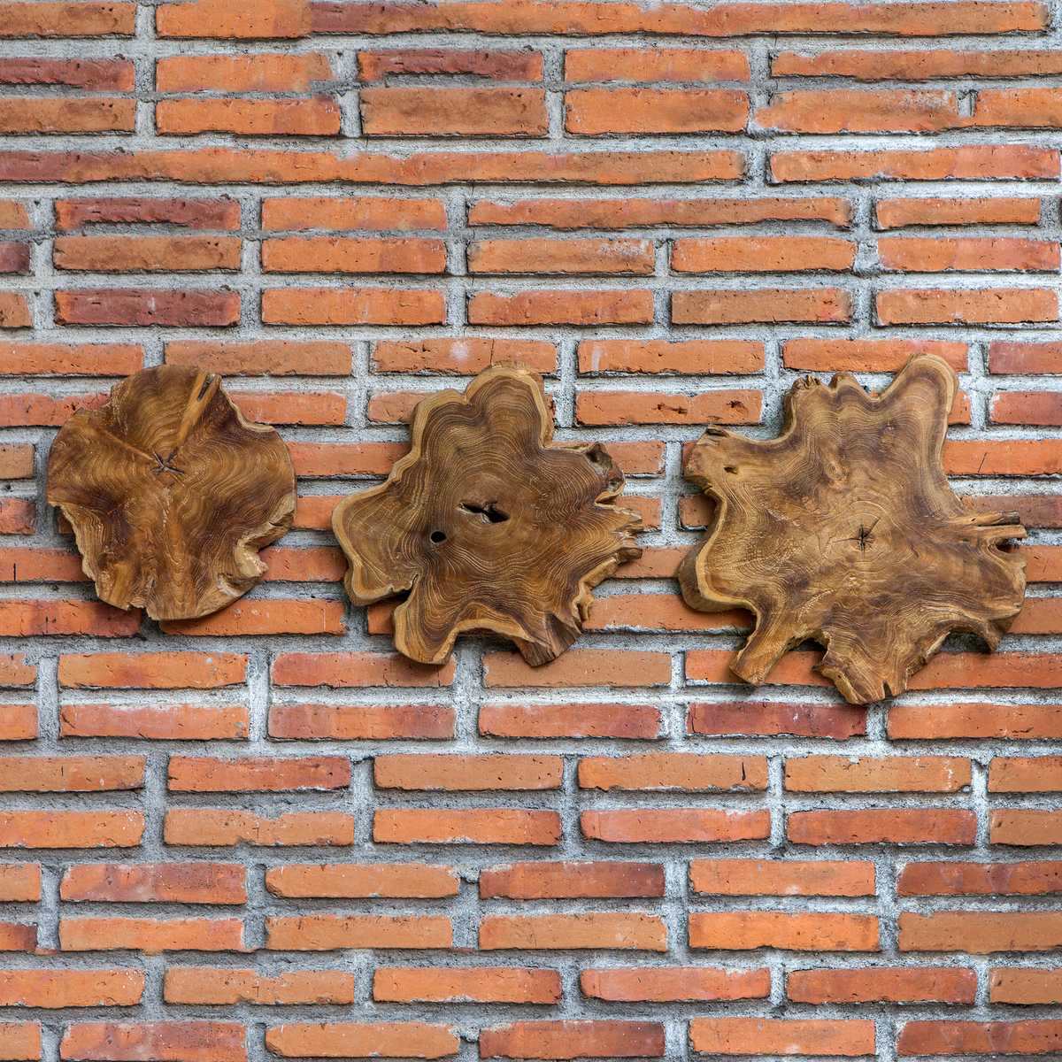 Kalani Indoor-Outdoor Wood Wall Decor, Natural, S/3