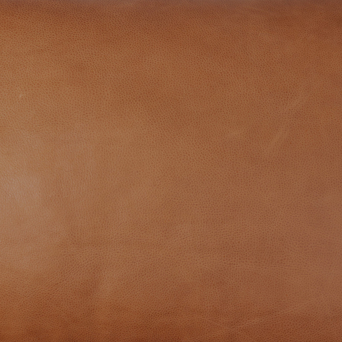 Reese Sofa-76"