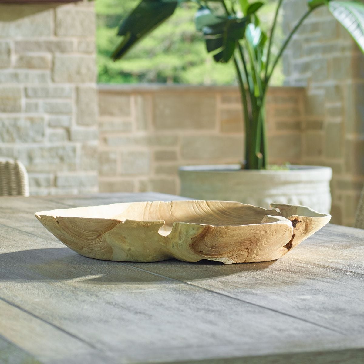 Organic Embrace Indoor-Outdoor Bowl