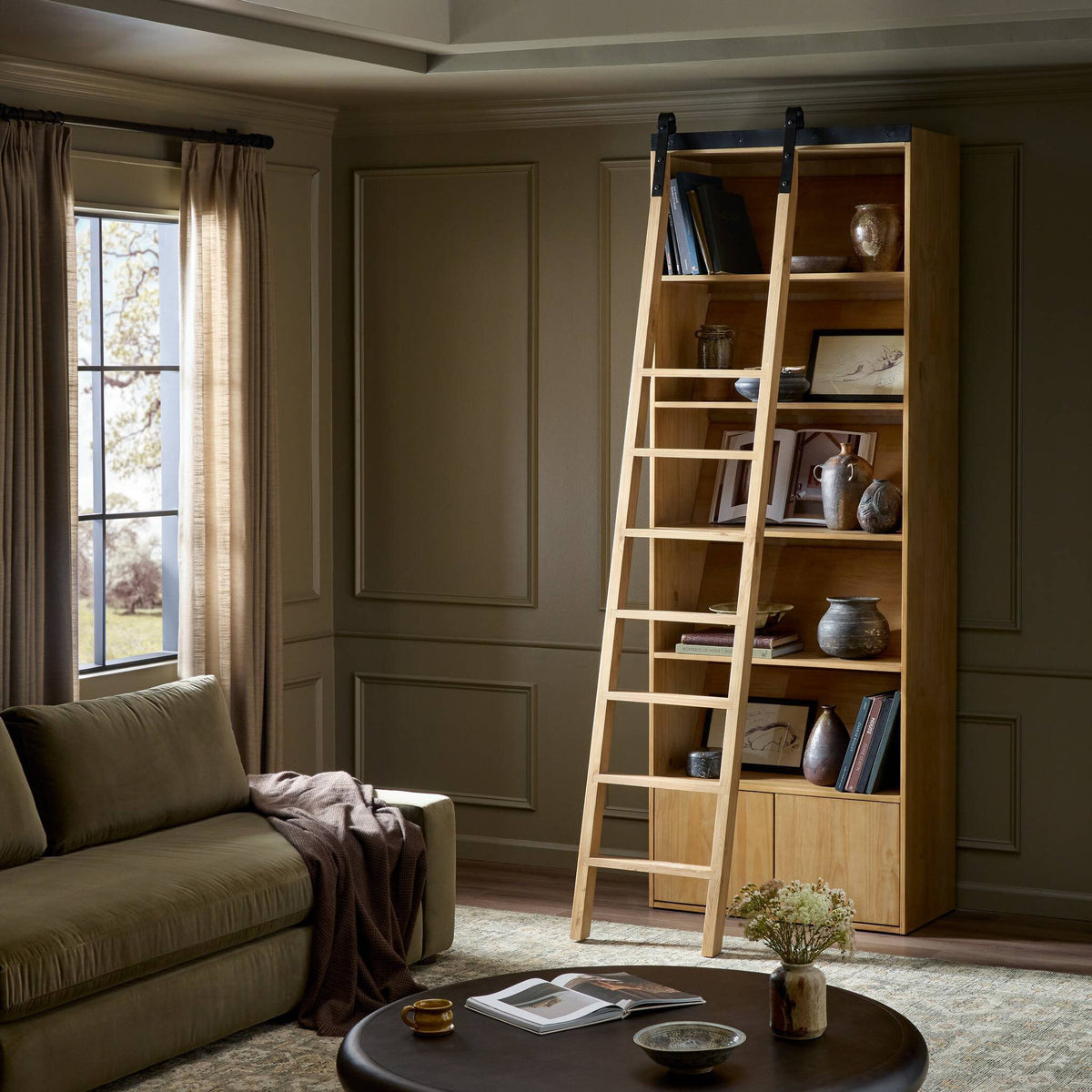 Bane Bookshelf & Ladder