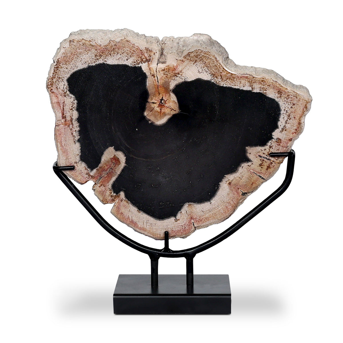 Petrified Wood Sculpture