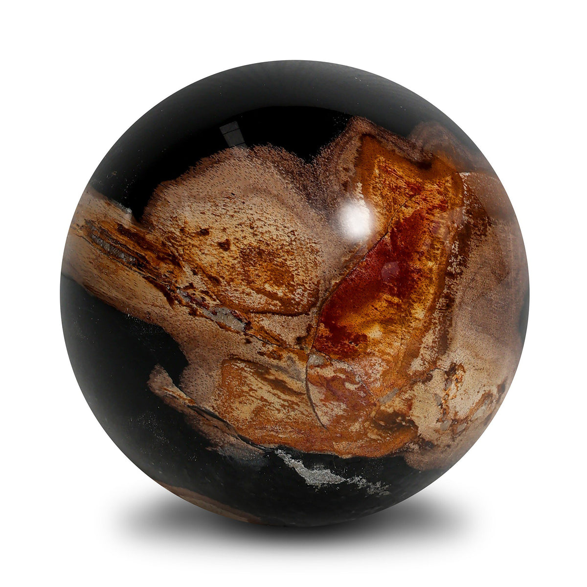 Petrified Wood Balls, Set Of 3