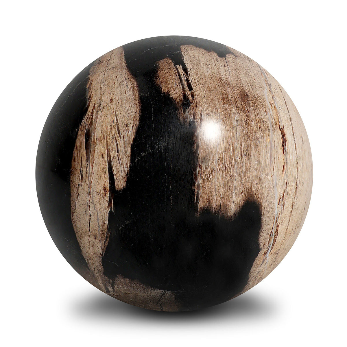 Petrified Wood Balls, Set Of 3