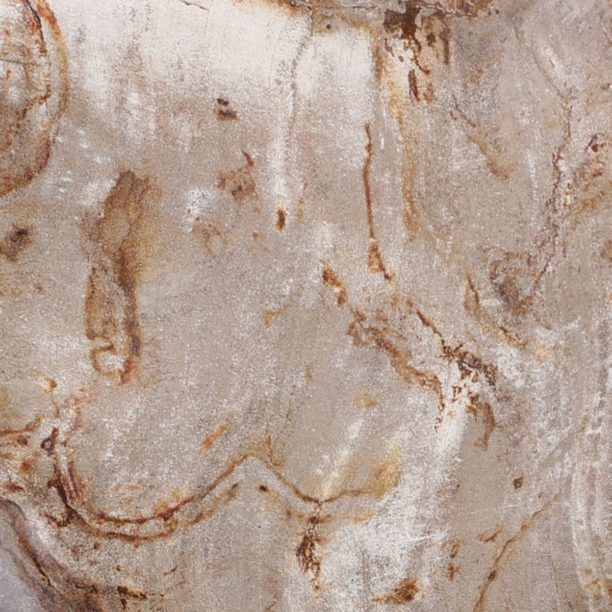 Petrified Wood Organic Sculpture, Set Of 3
