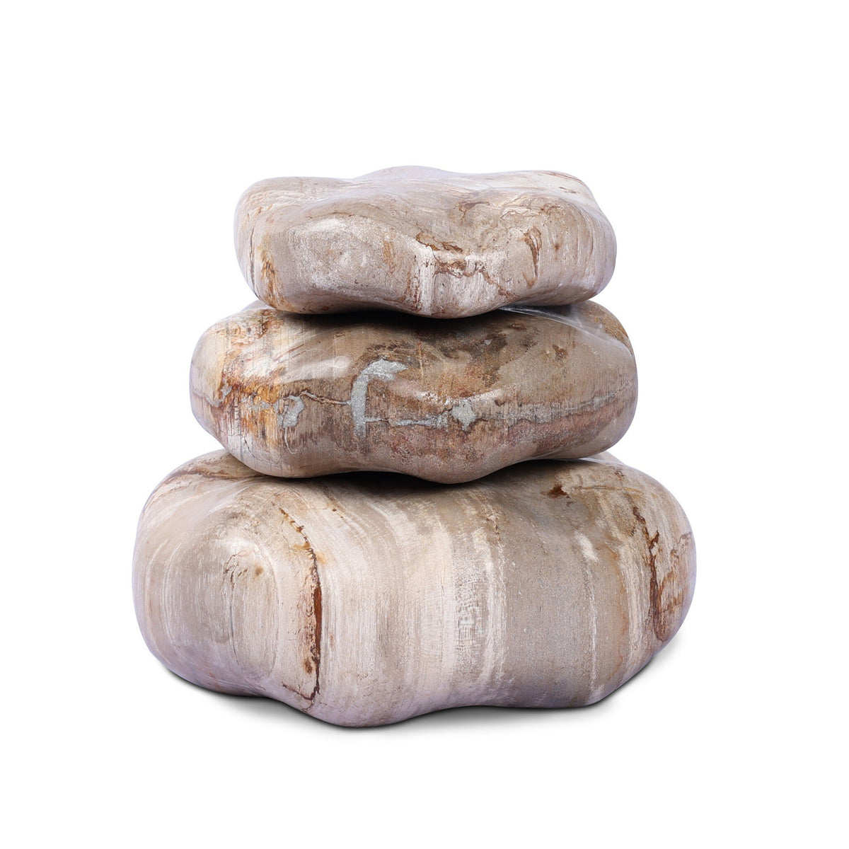 Petrified Wood Organic Sculpture, Set Of 3
