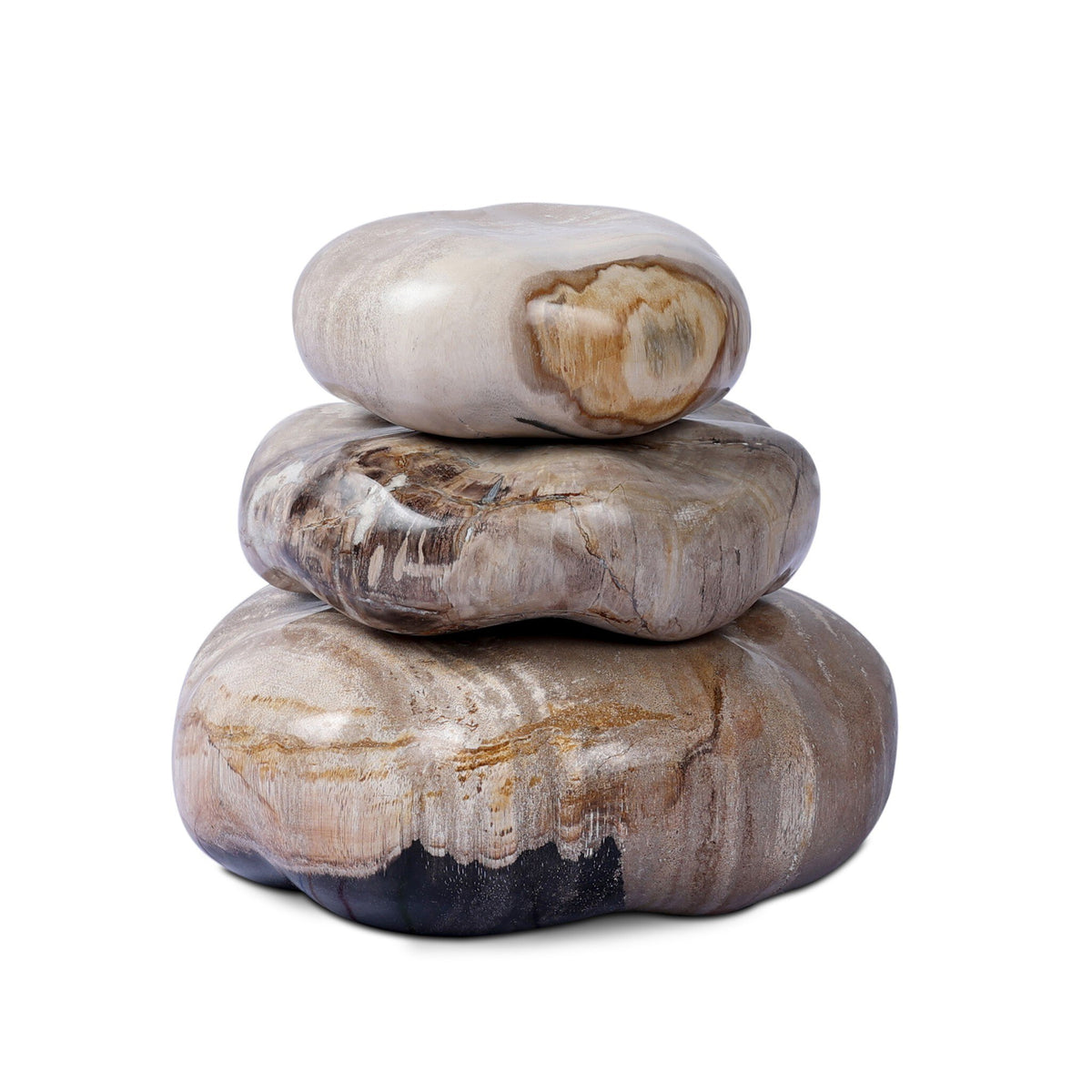 Petrified Wood Organic Sculpture, Set Of 3