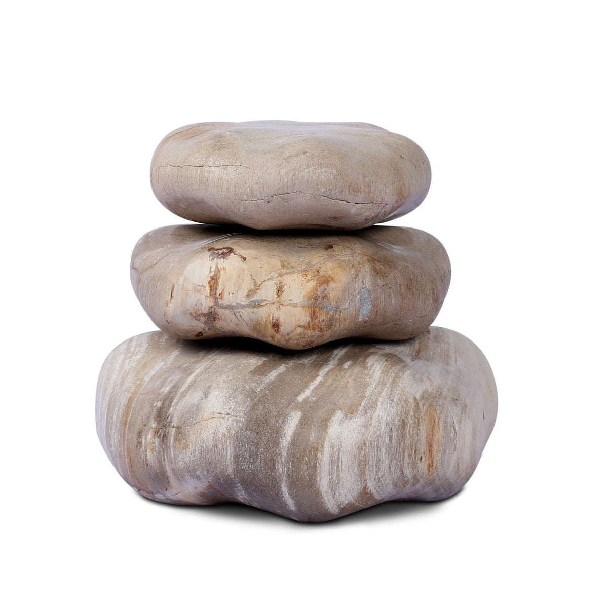 Petrified Wood Organic Sculpture, Set Of 3