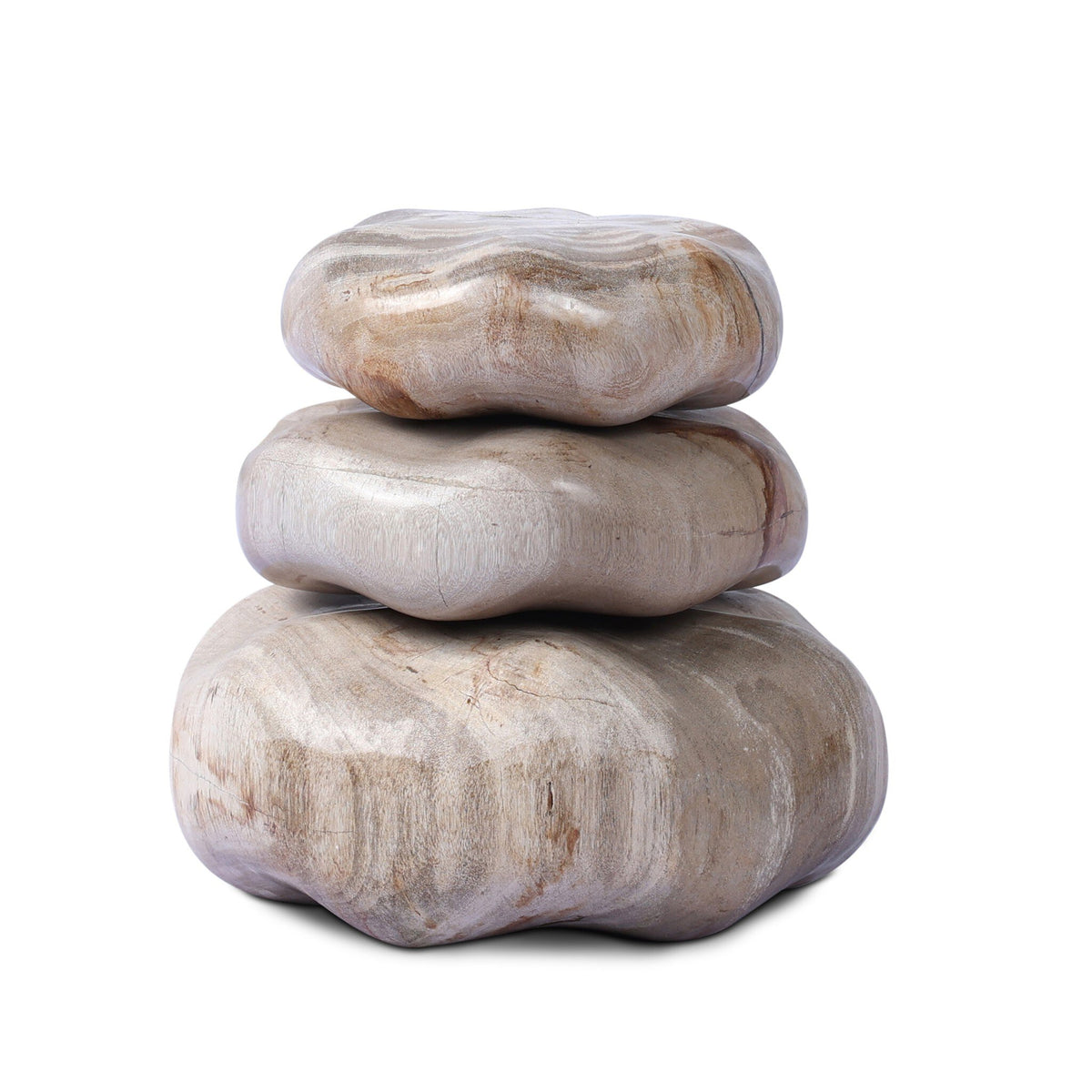 Petrified Wood Organic Sculpture, Set Of 3