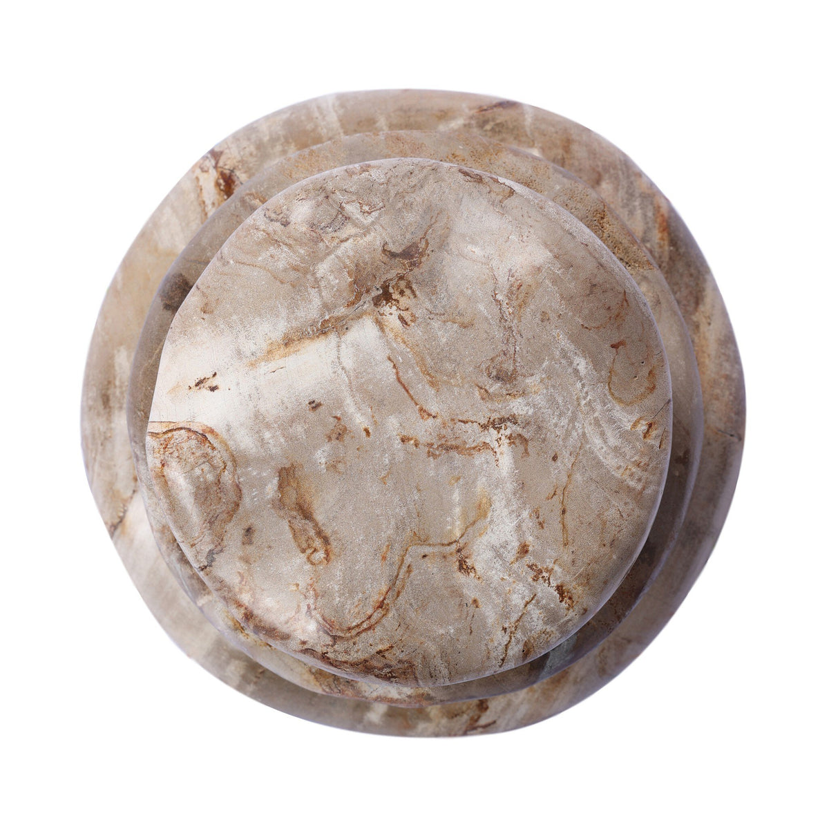 Petrified Wood Organic Sculpture, Set Of 3
