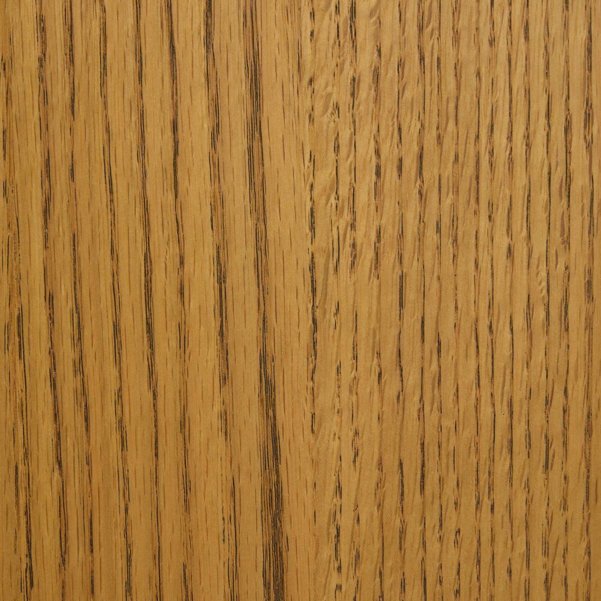Ripley Dining Chair With Cushion