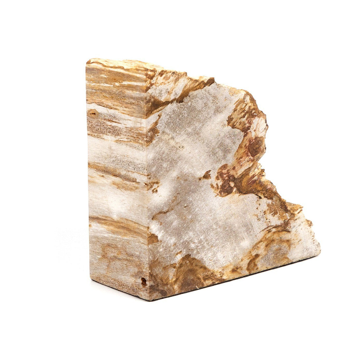 Petrified Wood Book Ends