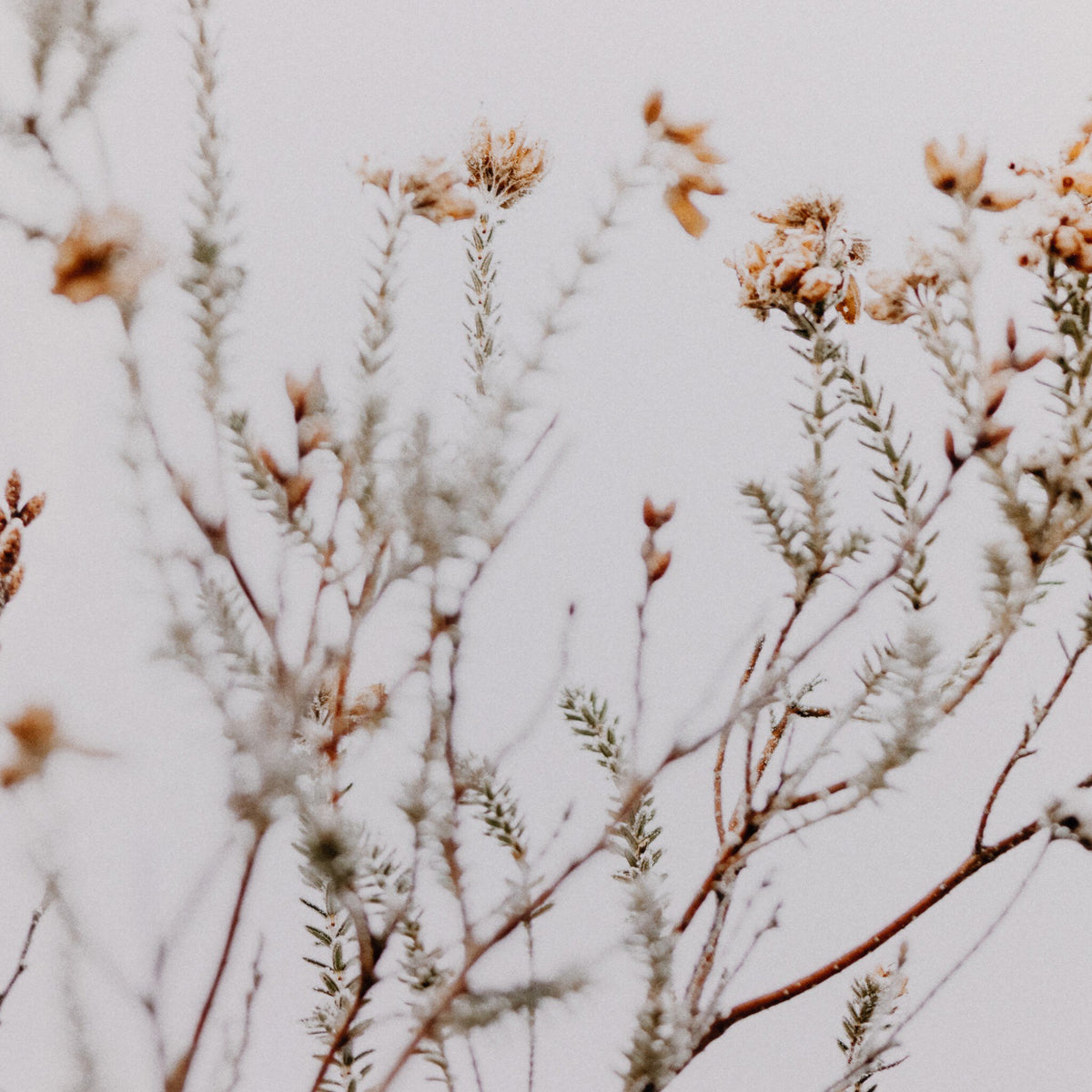 In The Details I By Annie Spratt