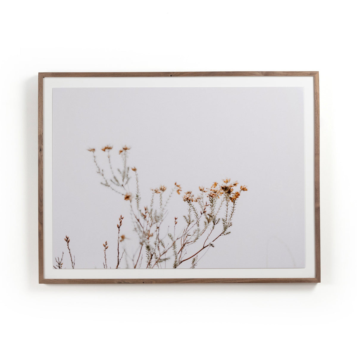 In The Details I By Annie Spratt