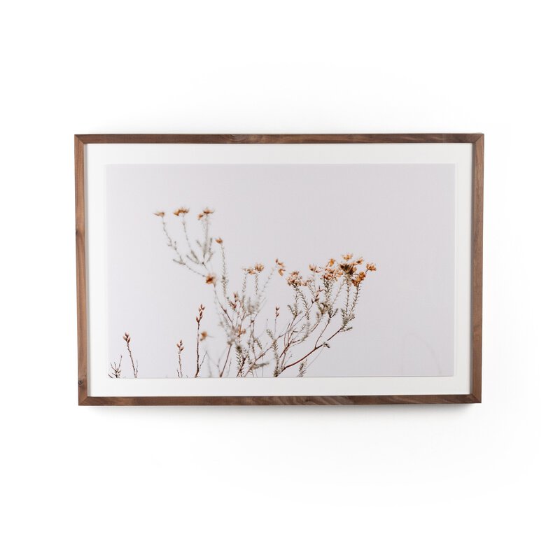 In The Details I By Annie Spratt