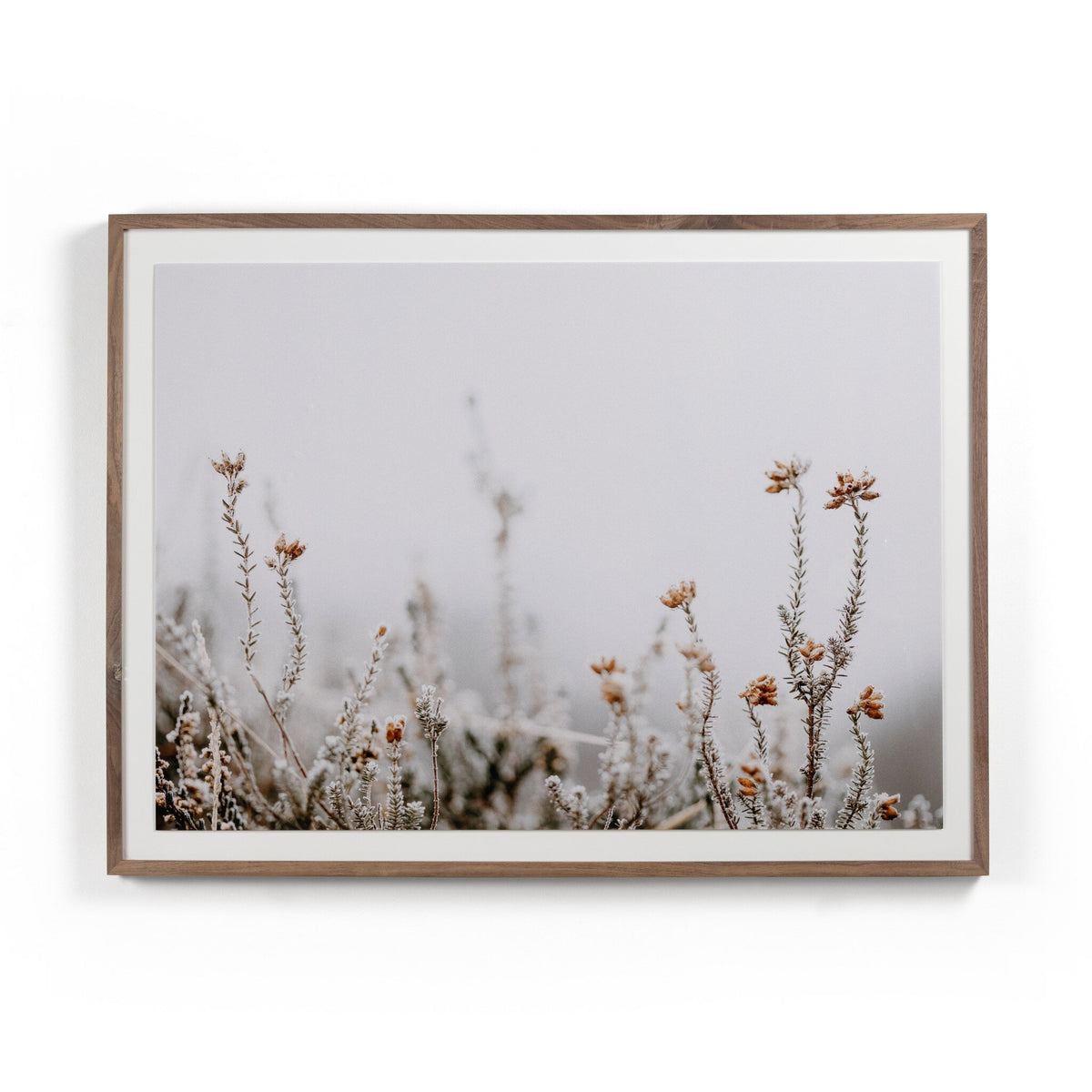 In The Details Ii By Annie Spratt