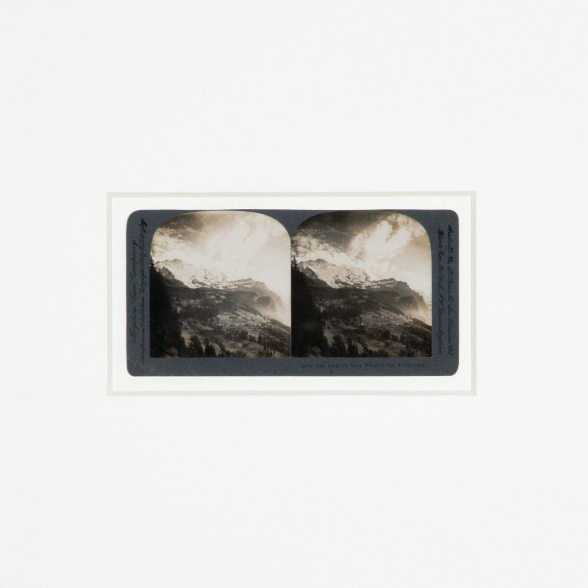 Swiss Alps By Gold Rush Art Co