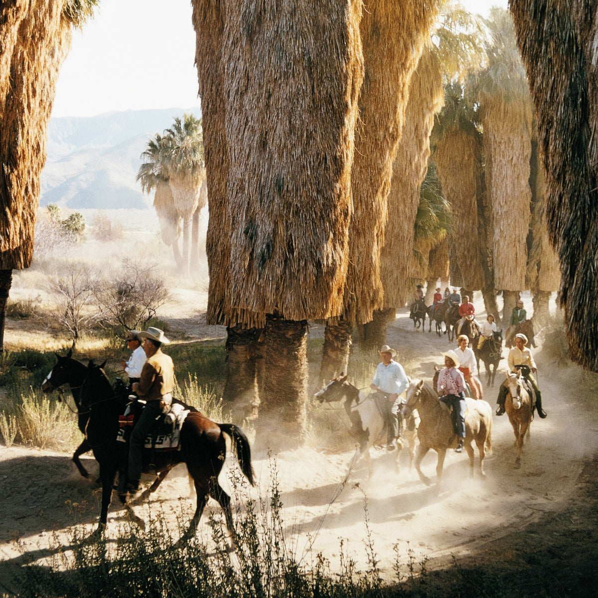 Palm Springs Riders By Slim Aarons