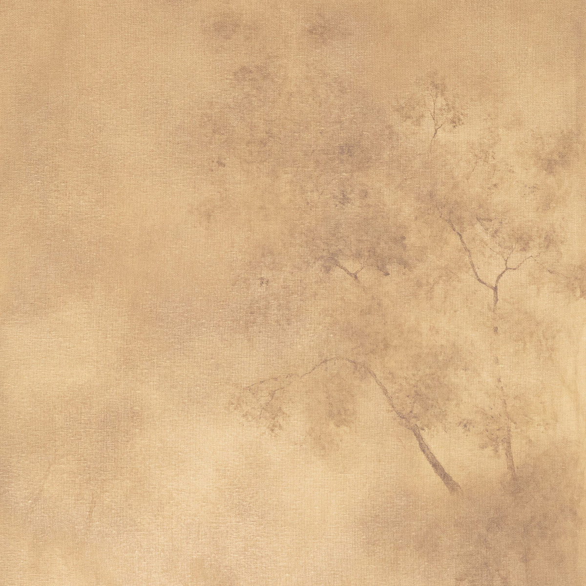 Towering Oak By Aileen Fitzgerald
