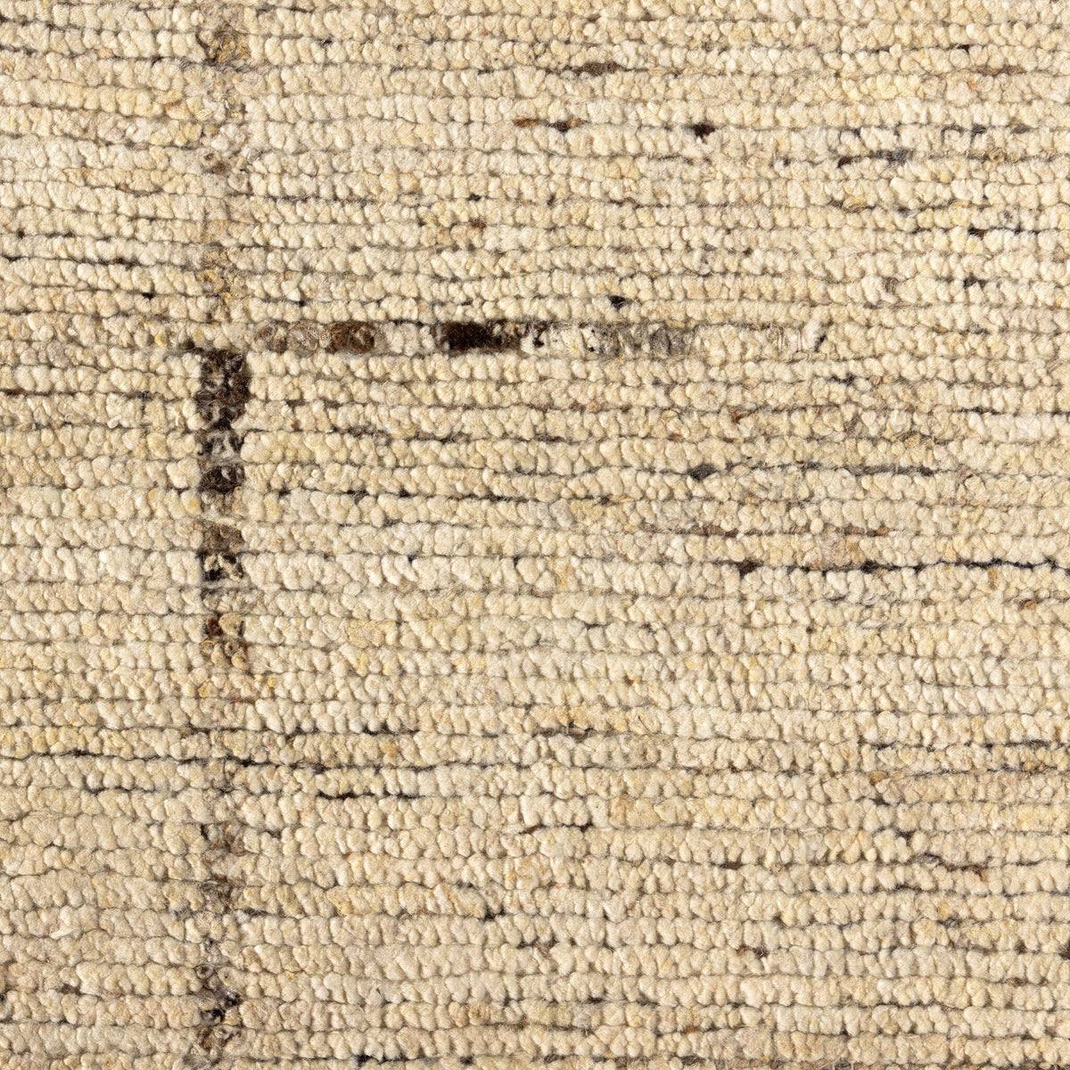 Shervin Hand-Knotted Rug