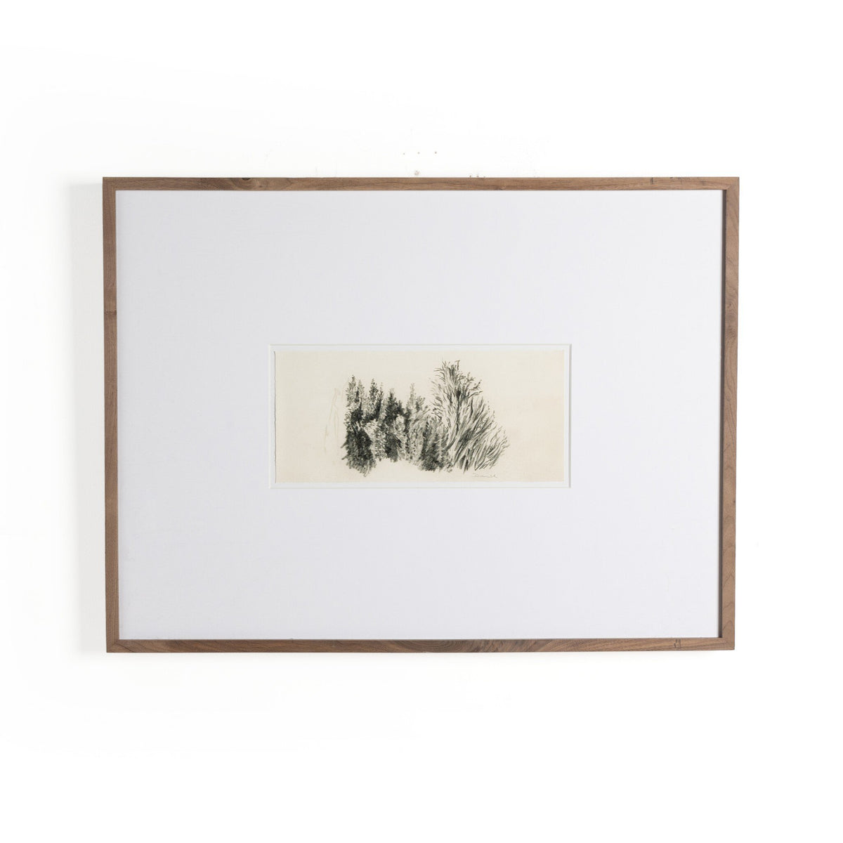 Tree Sketch By Dan Hobday