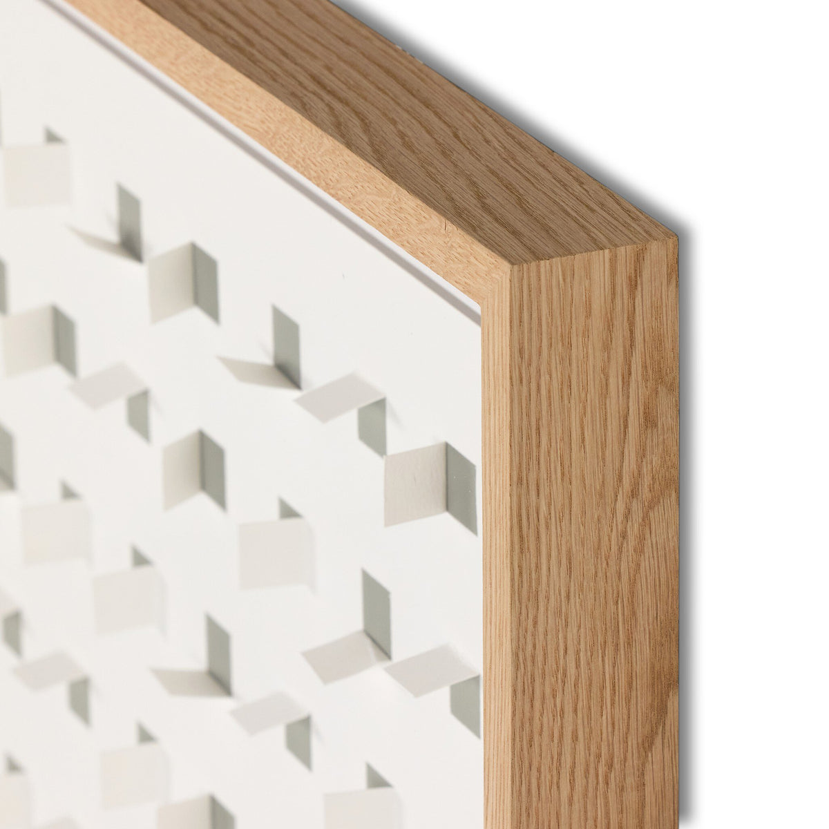 See Through Laurel Oak By Fh Art Studio