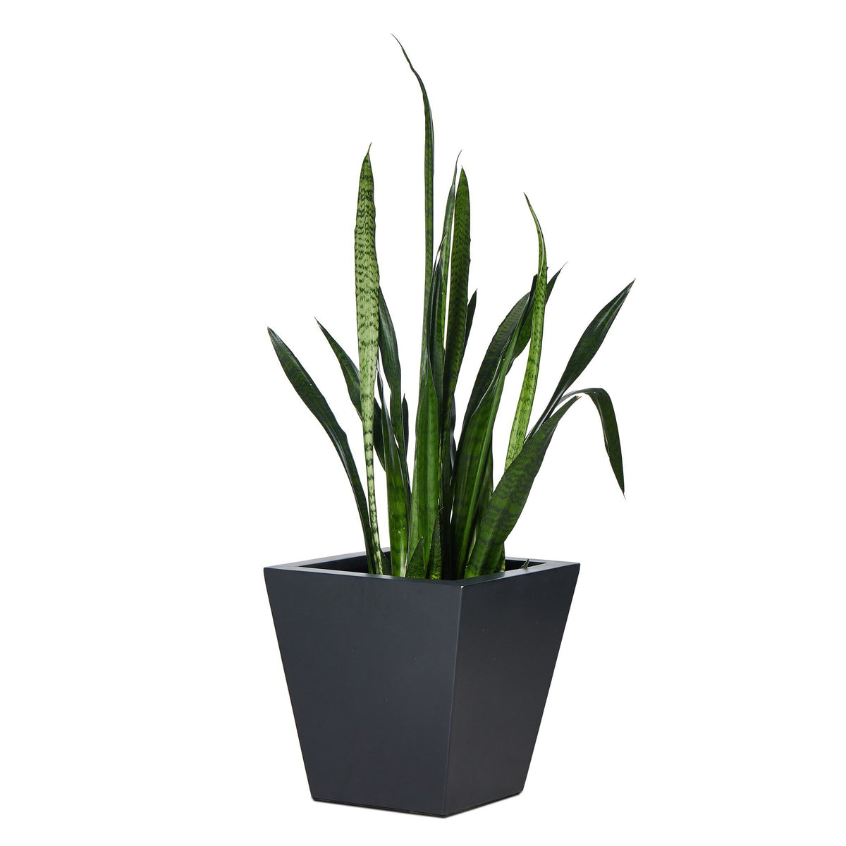 Koto Planter Small