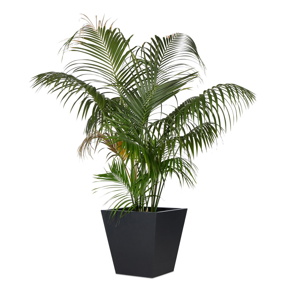 Koto Planter Large
