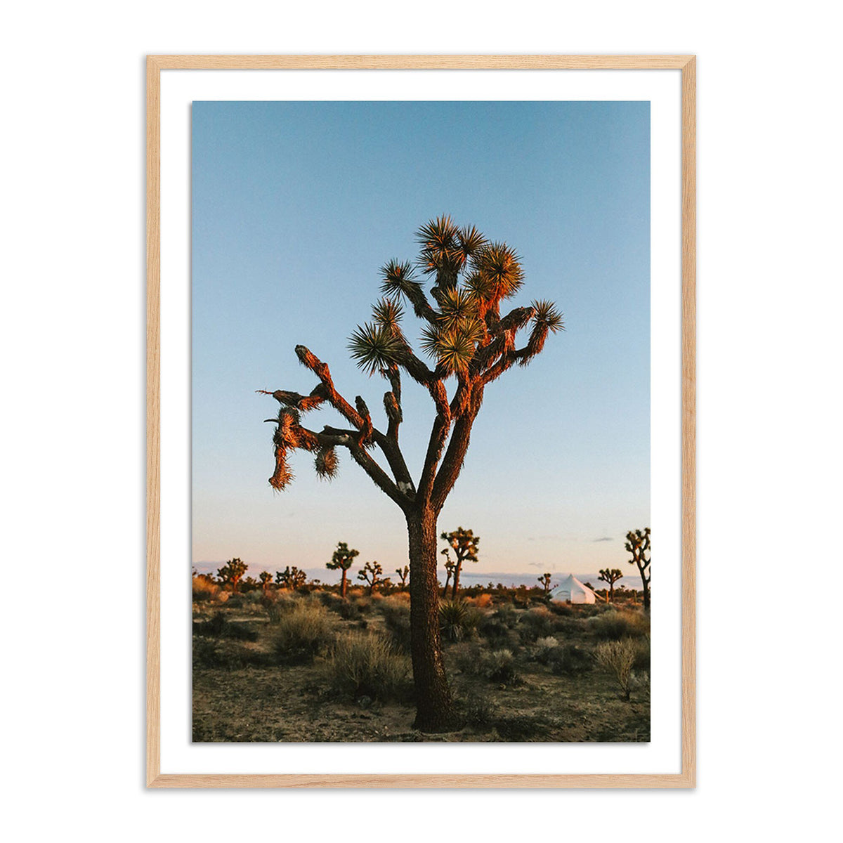Camp By Wesley And Emma Teague
