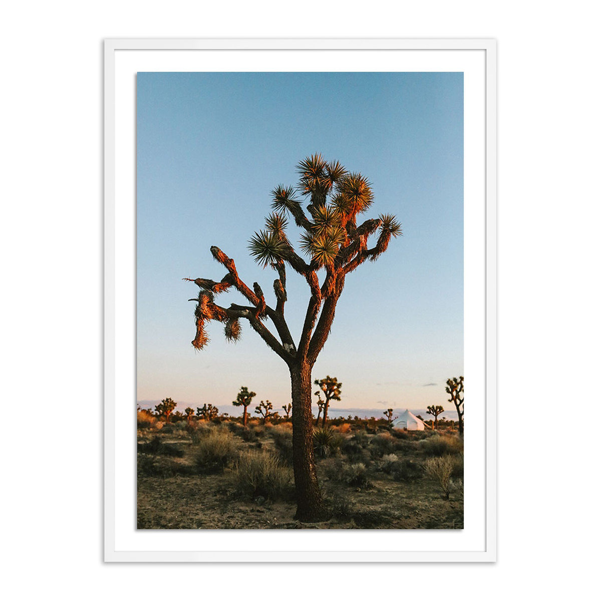 Camp By Wesley And Emma Teague