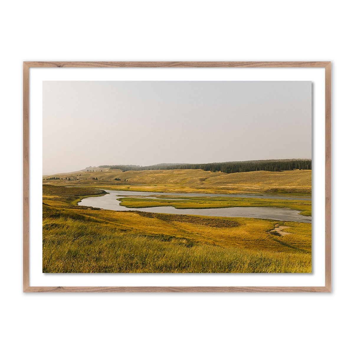 Where The Buffalo Roam By Wesley And Emma Teague