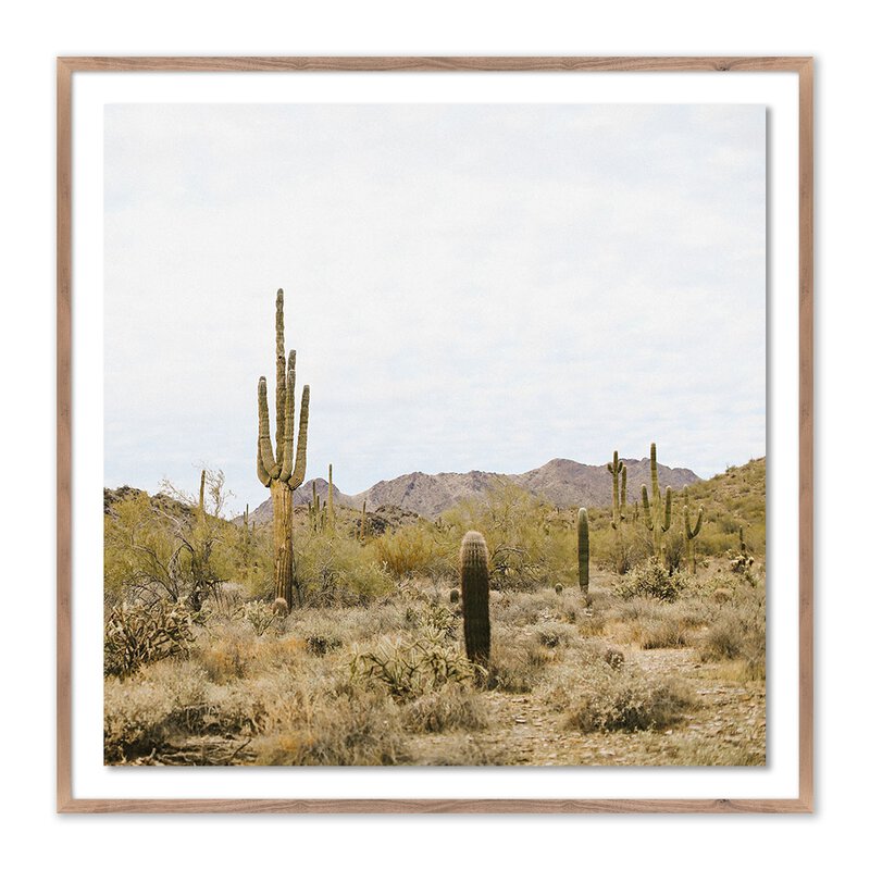 High Desert By Wesley And Emma Teague