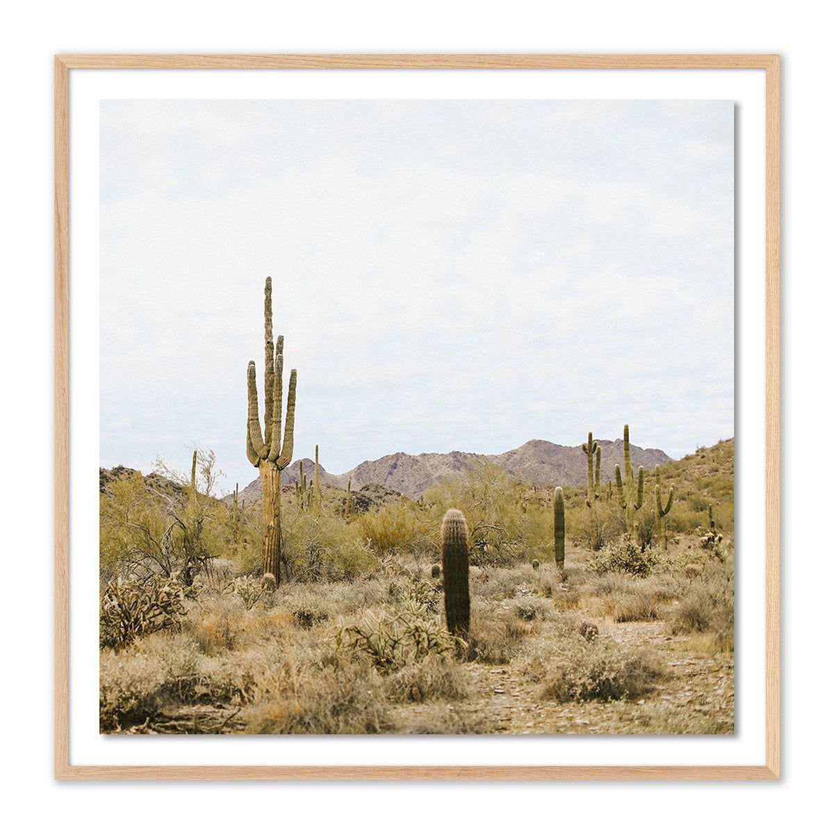 High Desert By Wesley And Emma Teague