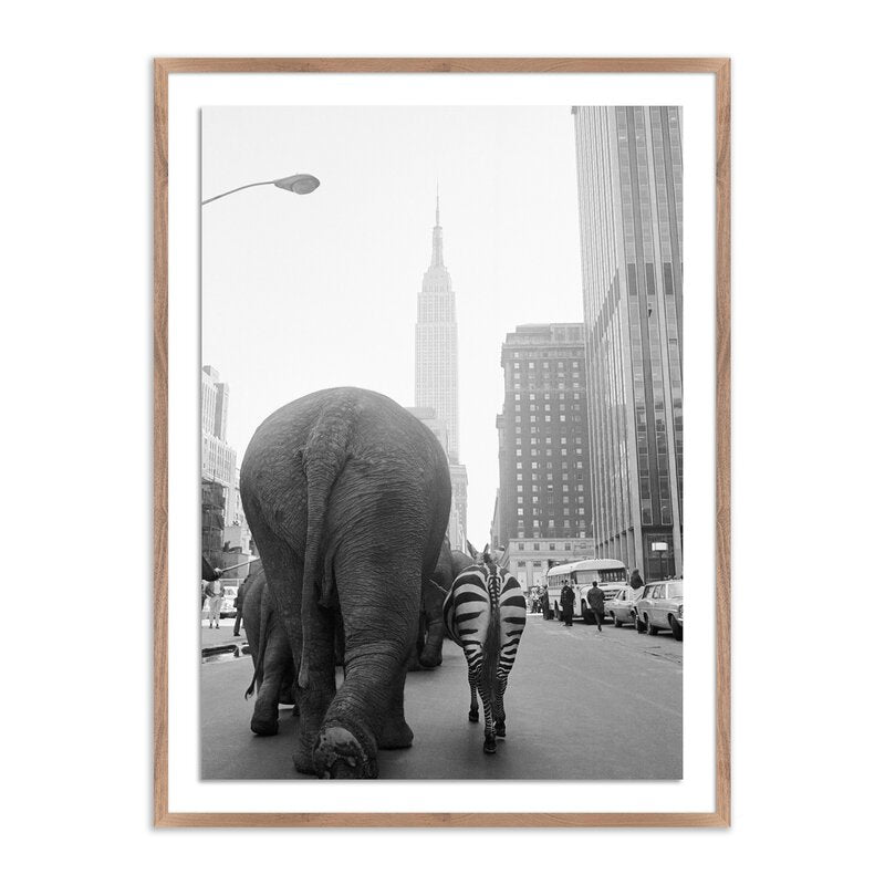 Circus Animals On 33rd St By Getty Images