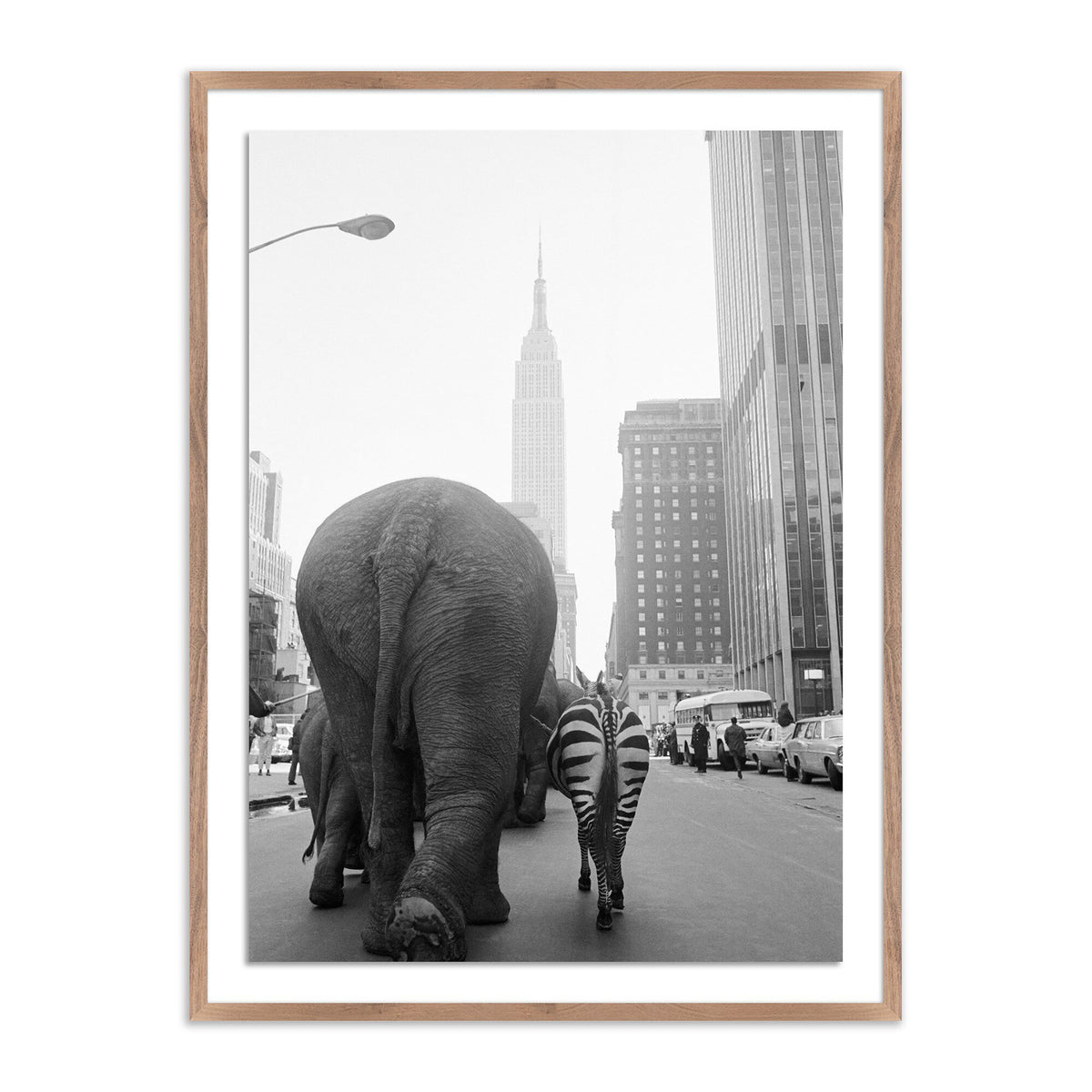 Circus Animals On 33rd St By Getty Images