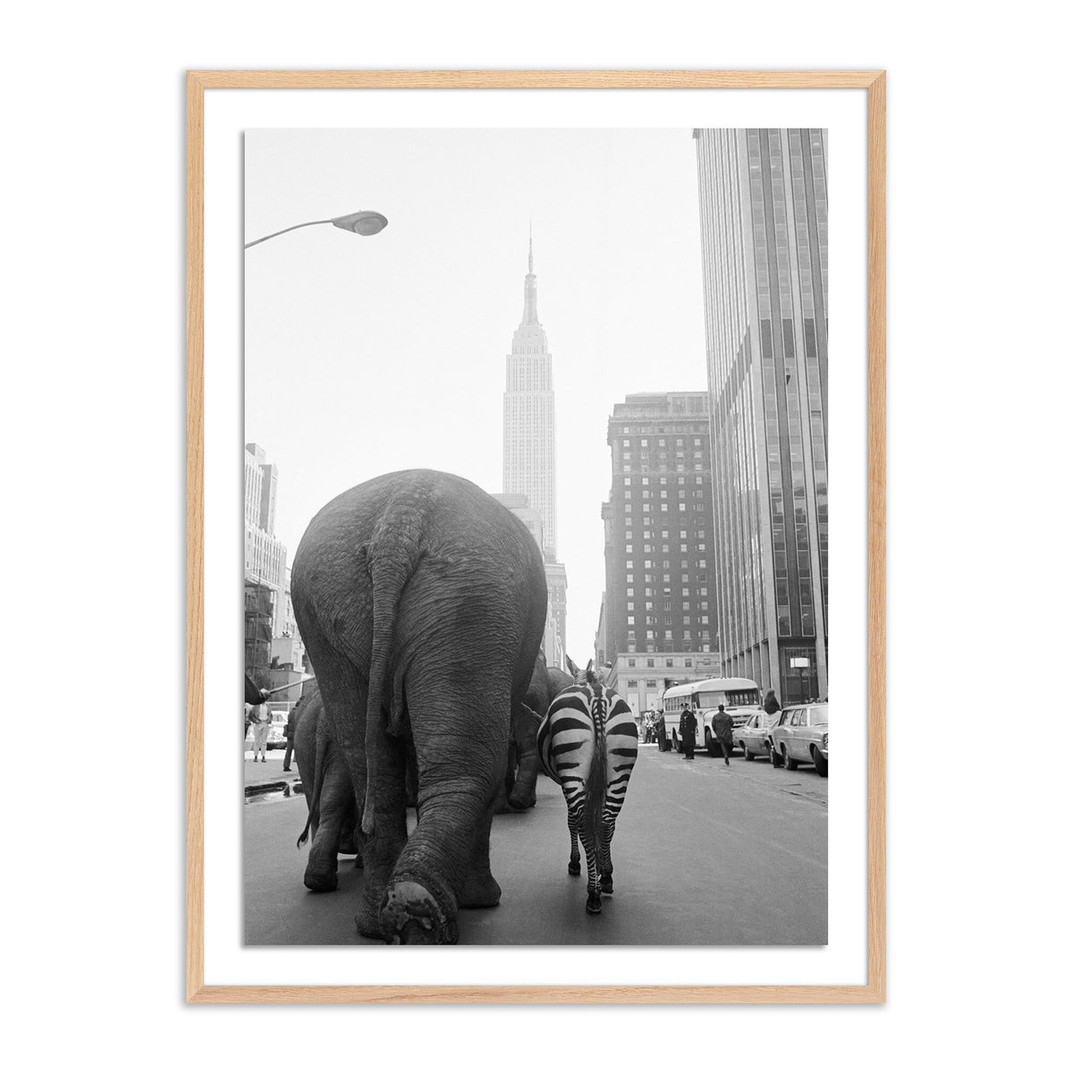 Circus Animals On 33rd St By Getty Images