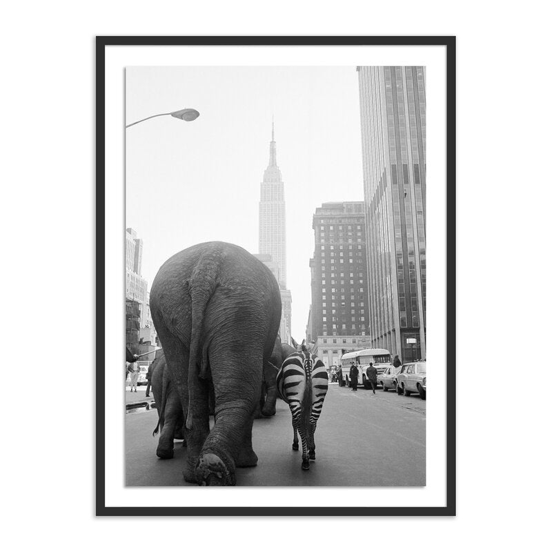 Circus Animals On 33rd St By Getty Images