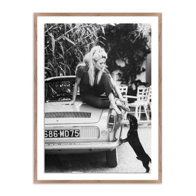 Brigitte Bardot With Dashchund By Getty Images