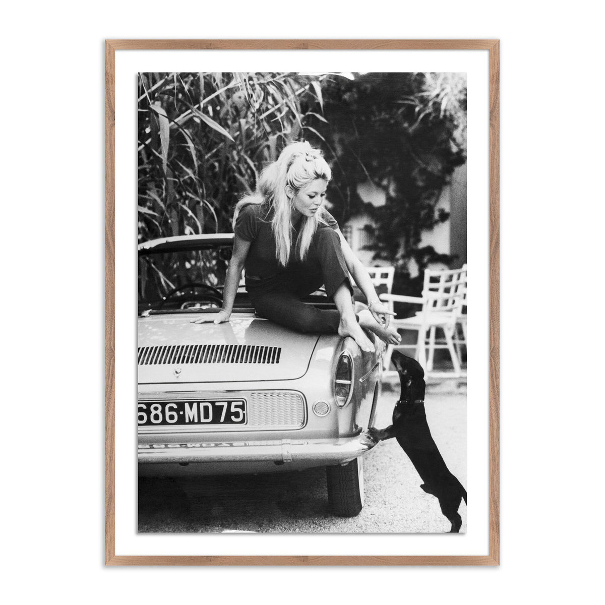 Brigitte Bardot With Dashchund By Getty Images