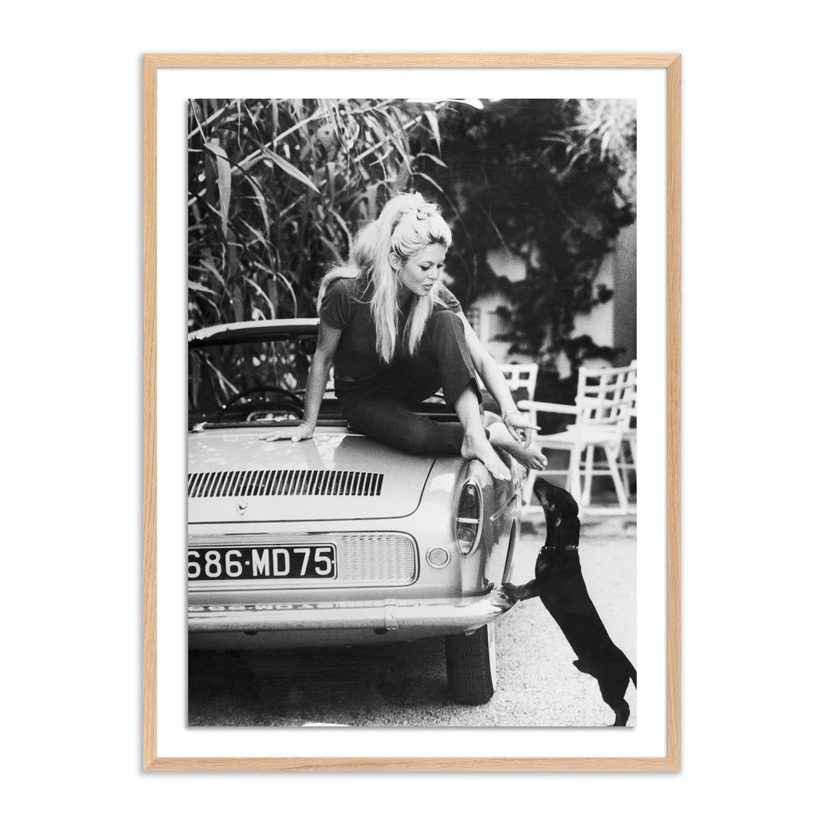 Brigitte Bardot With Dashchund By Getty Images