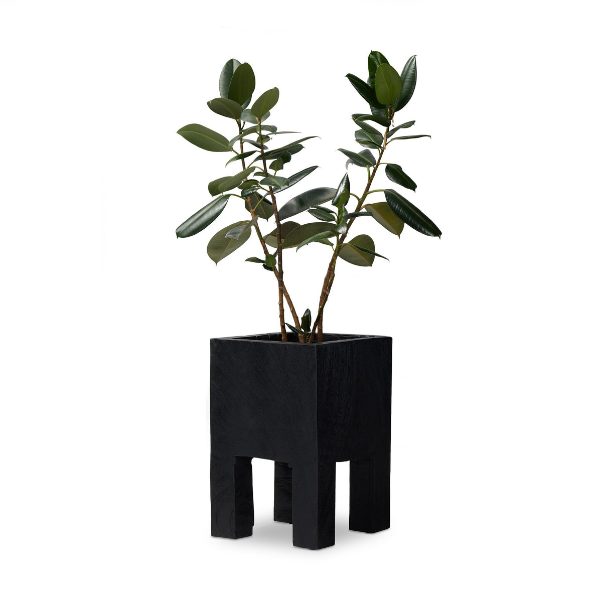 Tora Planter Medium