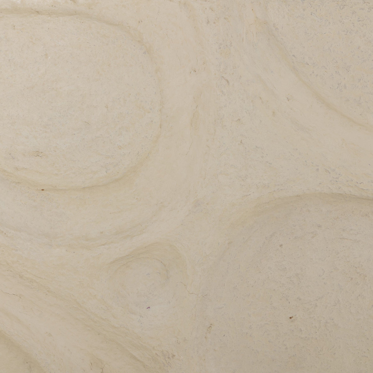 Organic Relief Sculpture
