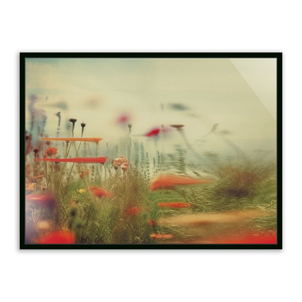 Prairie Ii By Coup D'Esprit