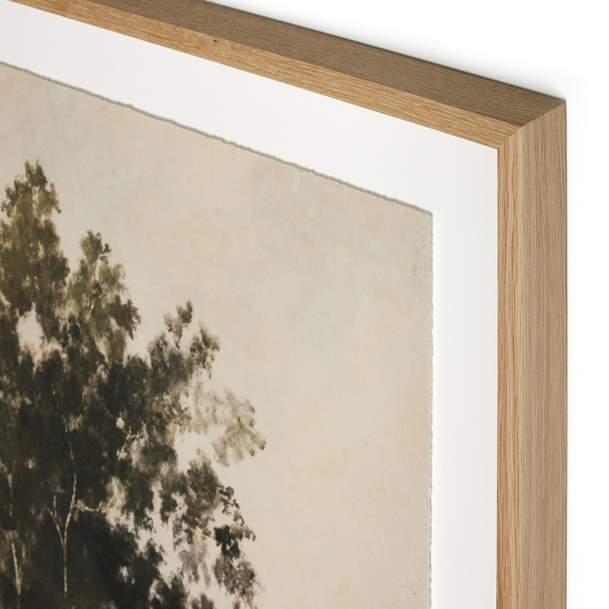 a framed picture of a tree