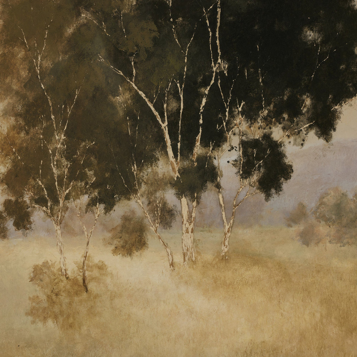 a group of trees in a field