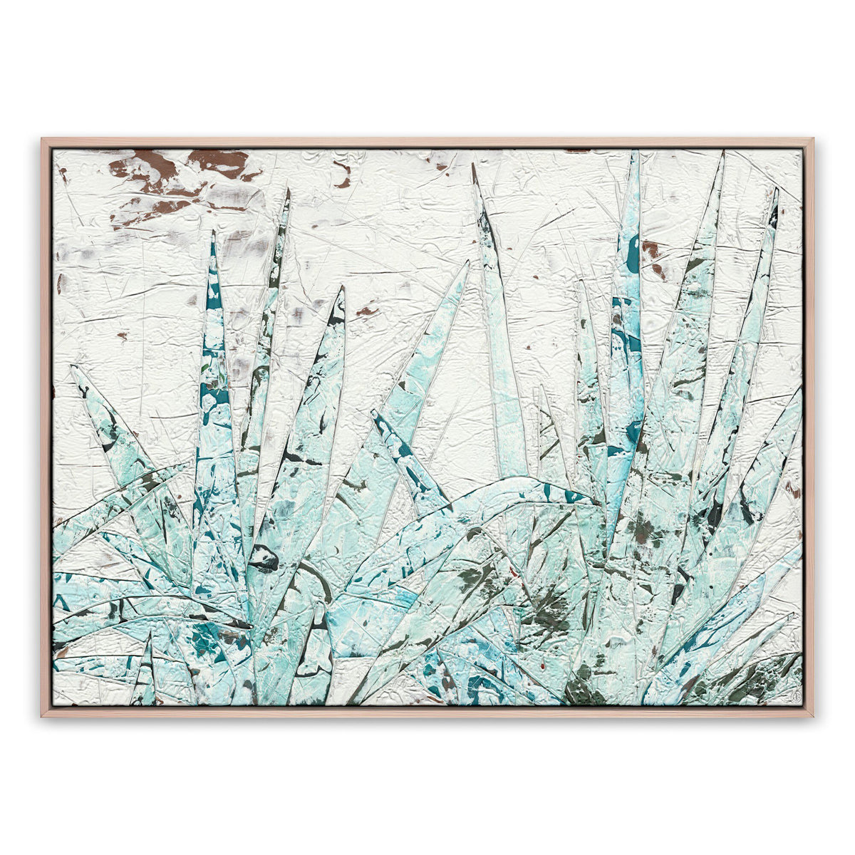 Study Of Blue Agave By Douglas Galloway
