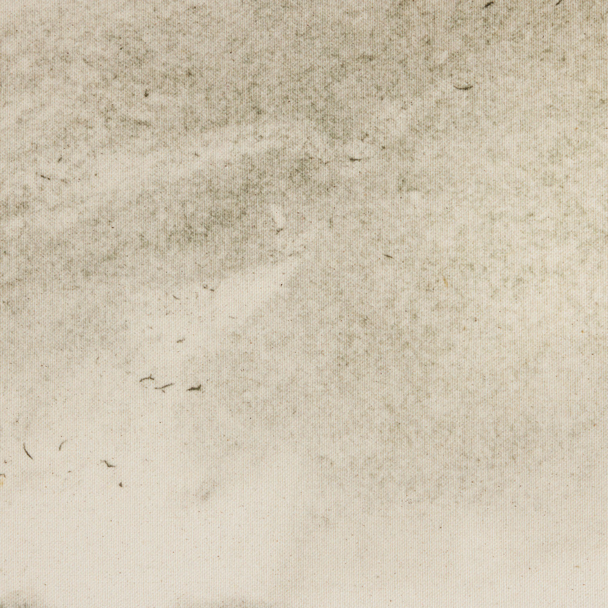 a white surface with black spots