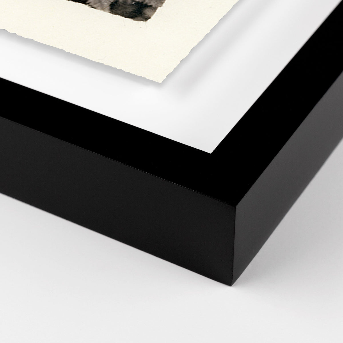 Fern By Platinum Revival
