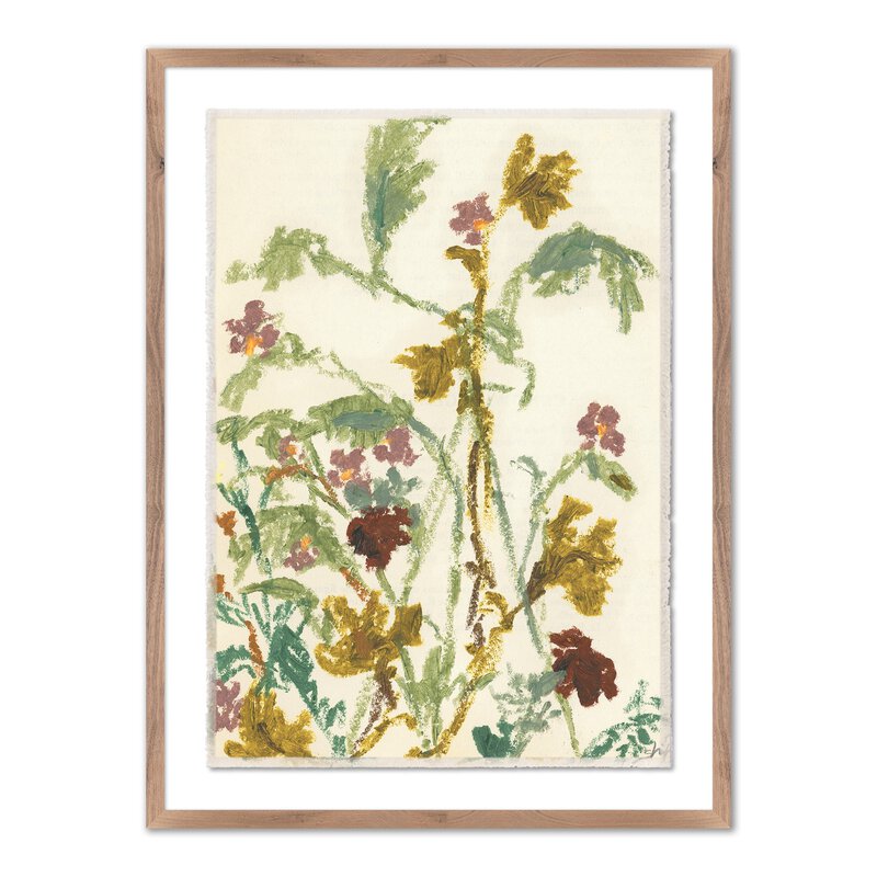 Meadow Rue 1 By Shaina Page