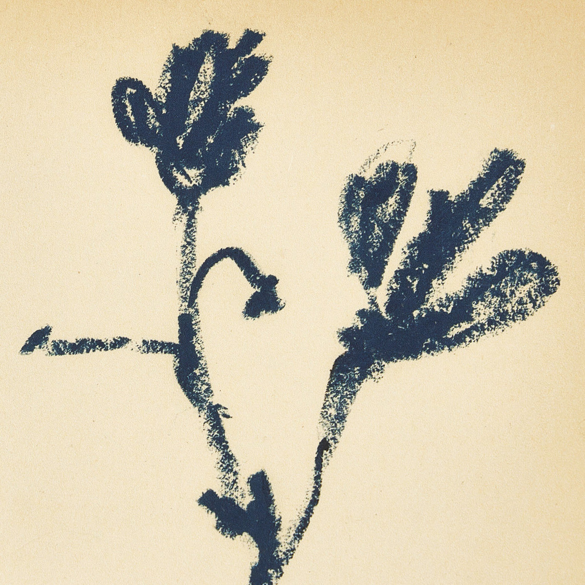 a drawing of a plant