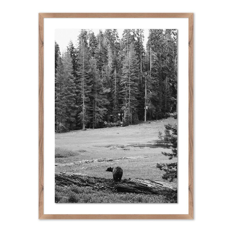Don'T Feed The Bears By Wesley And Emma Teague - Four Hands (249345-005)